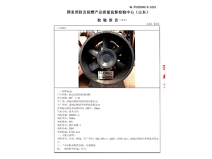 軸流排煙風(fēng)機(jī)10號